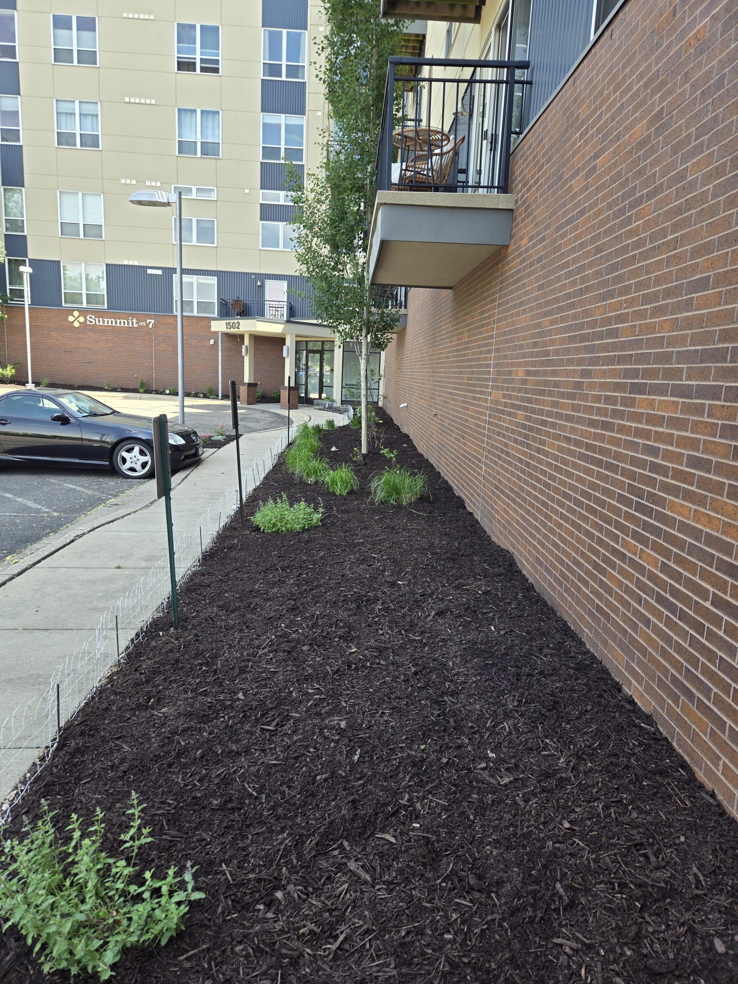 After mulching - project 1
