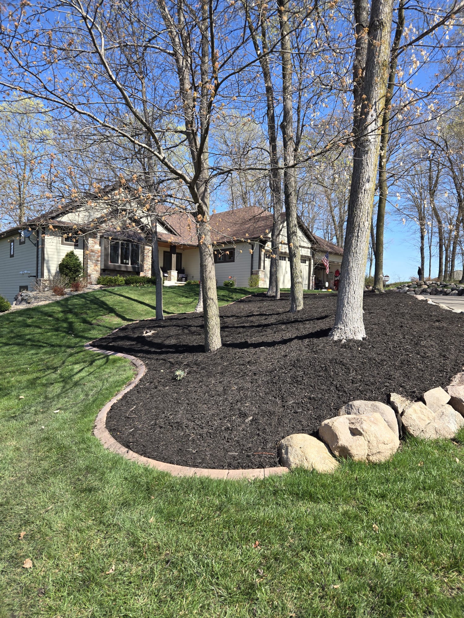 After mulching - project 4