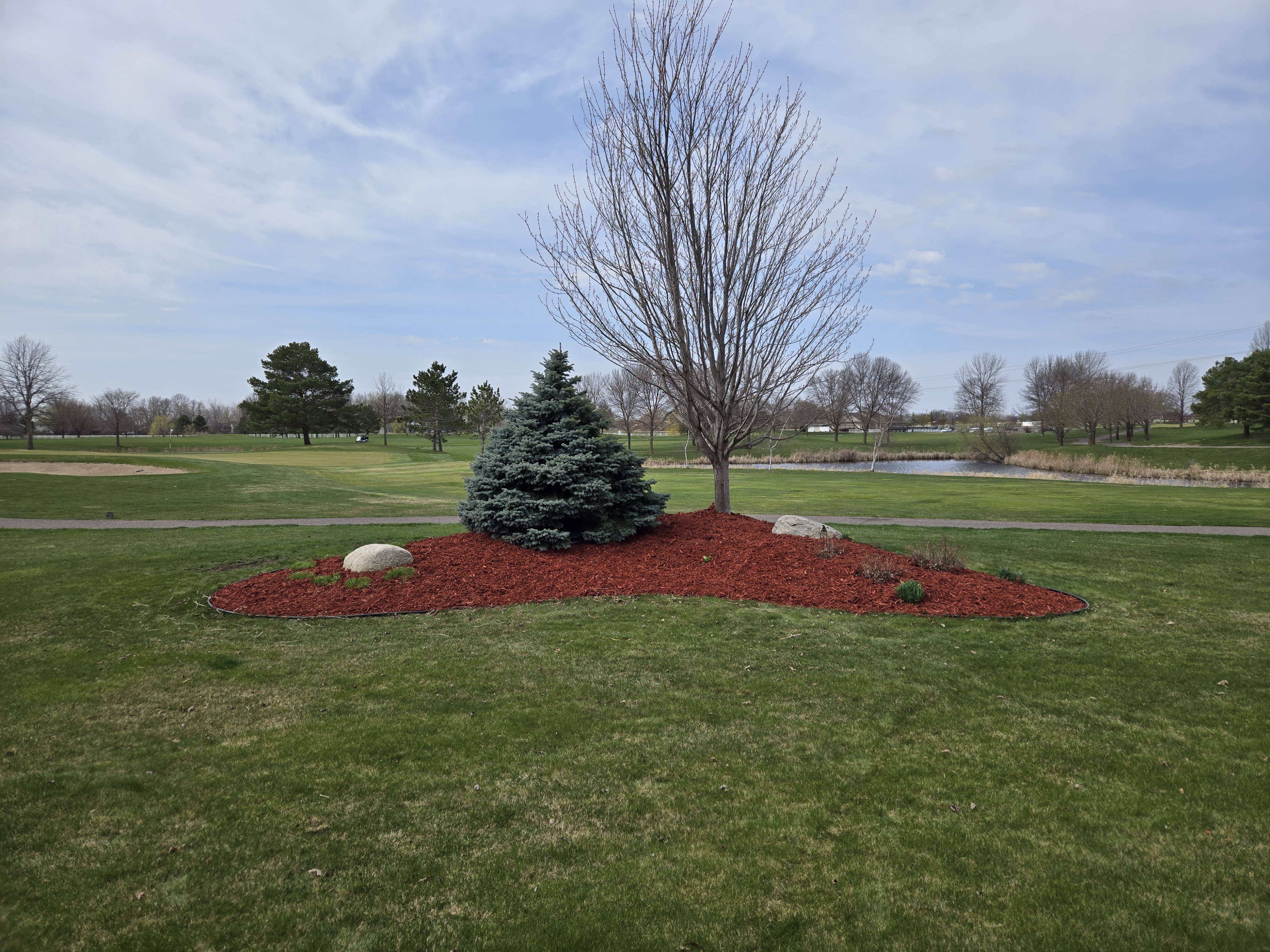 After mulching - project 5