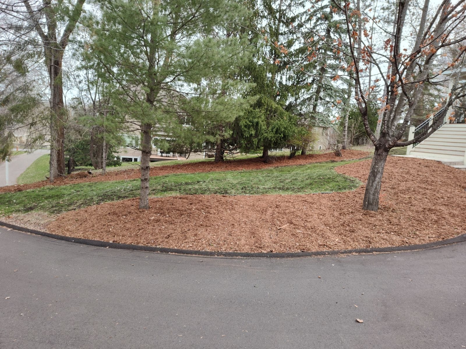 After mulching - project 6