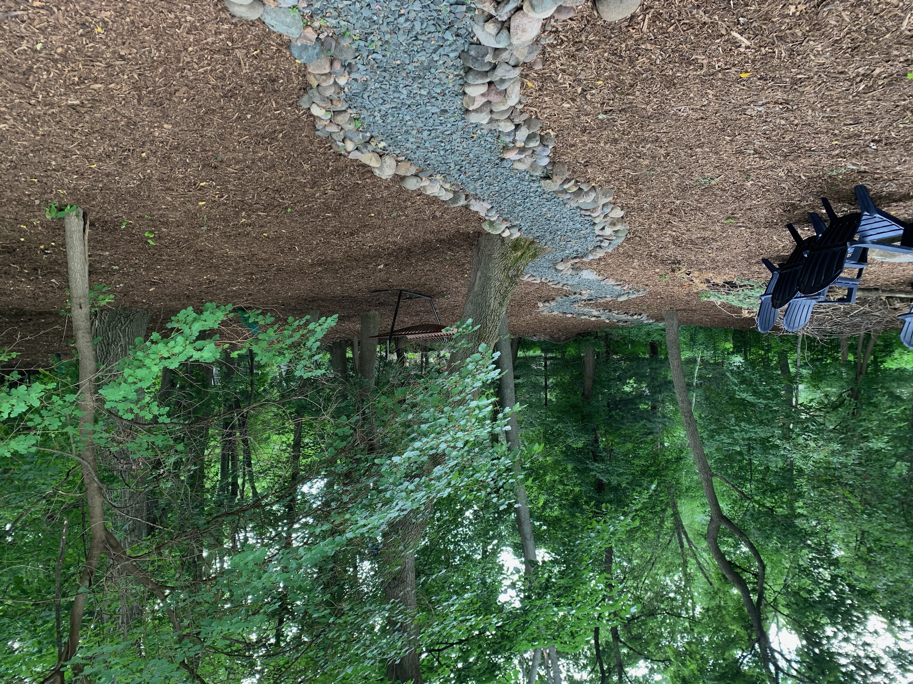 After mulching - project 7