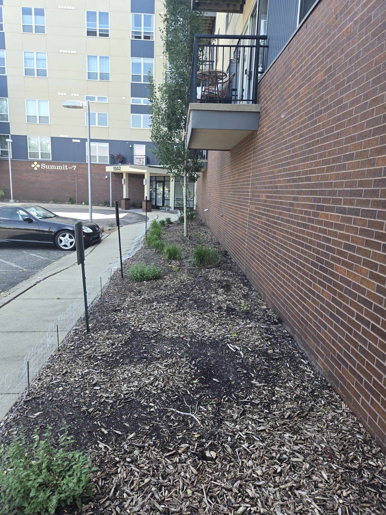 Before mulching - project 1