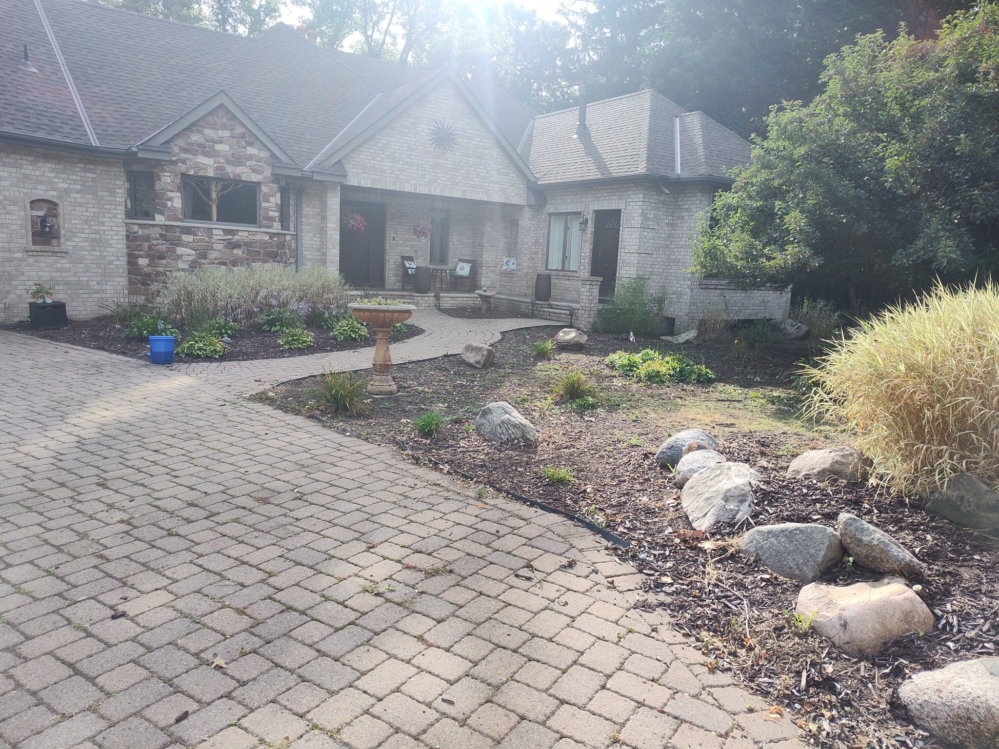 Before mulching - project 2