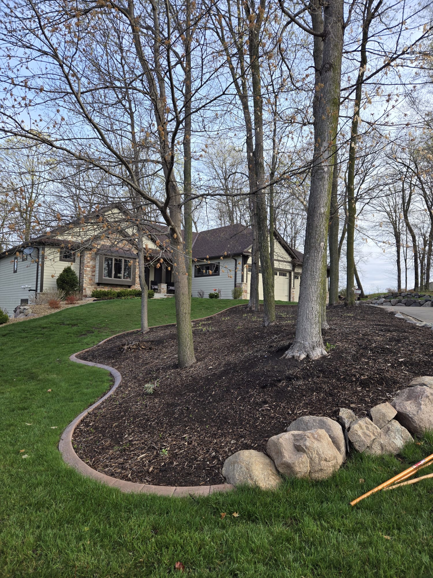 Before mulching - project 4