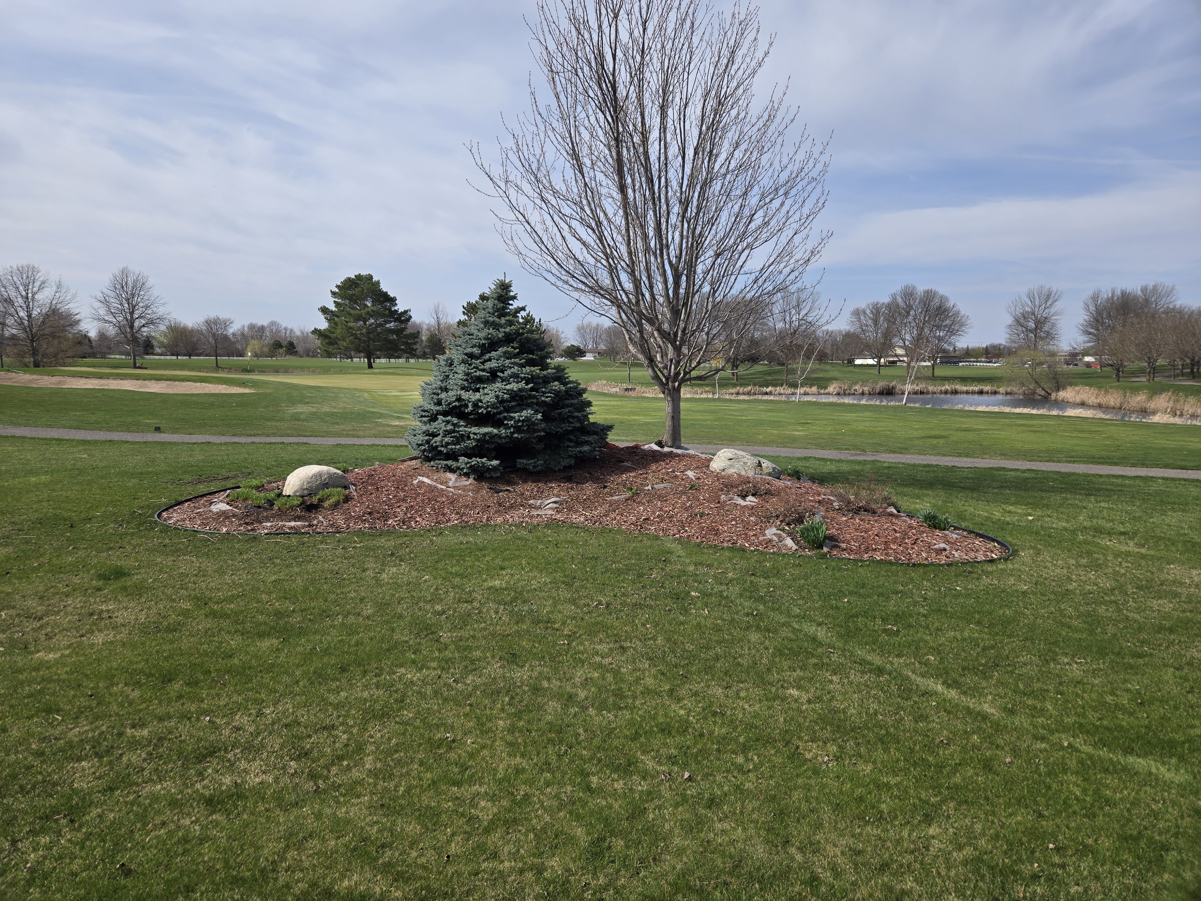 Before mulching - project 5