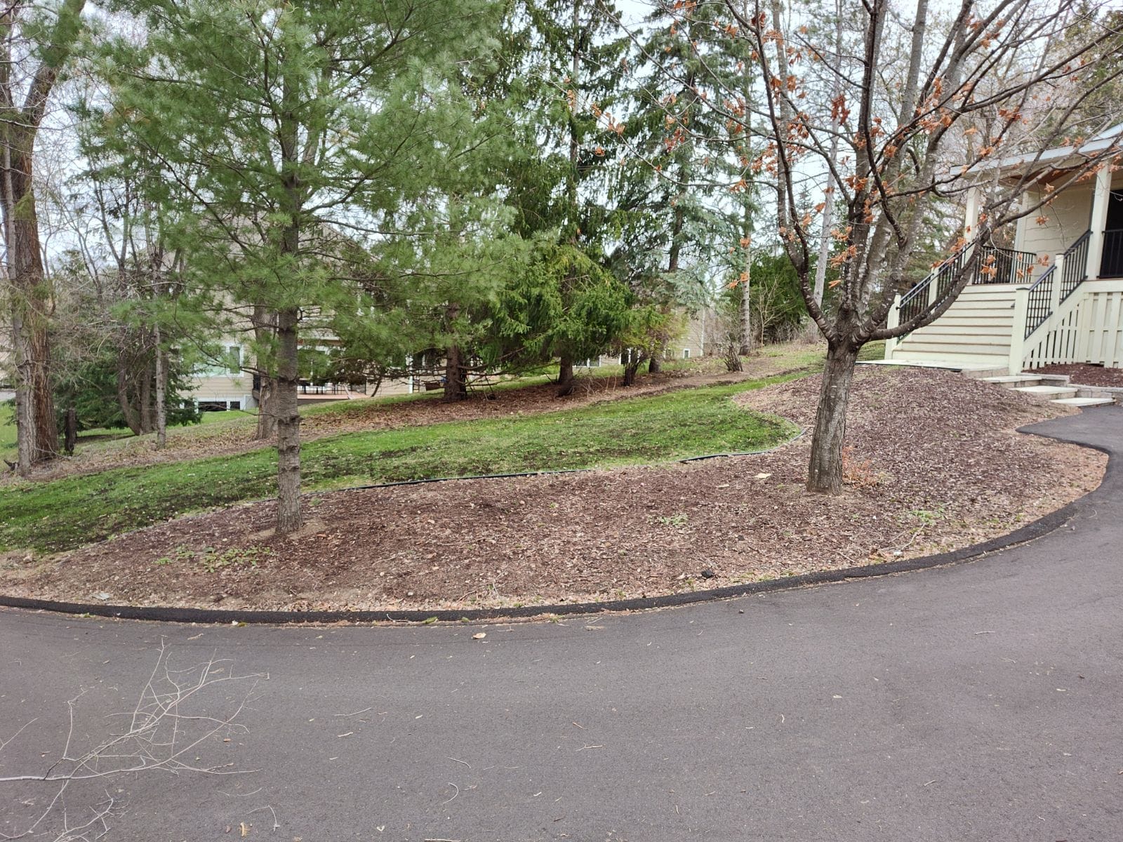 Before mulching - project 6