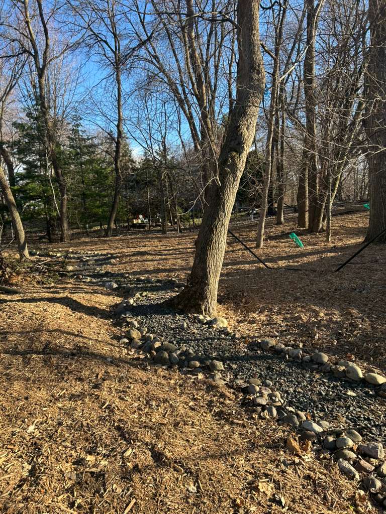 Before mulching - project 7